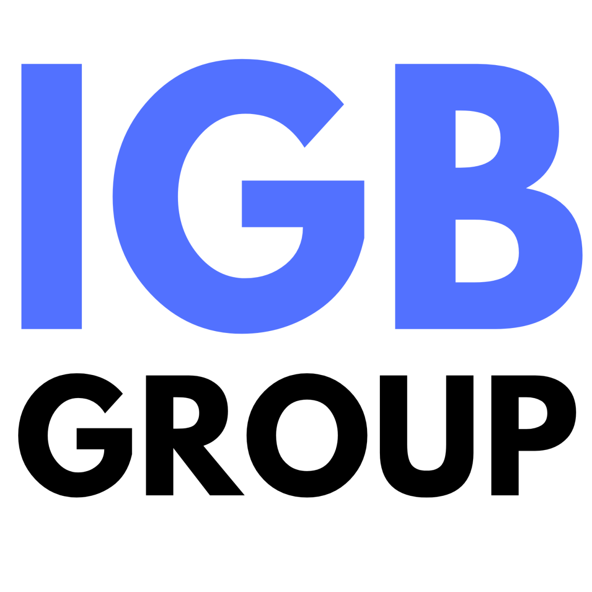 IGB GROUP